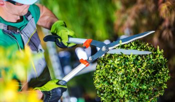 Entretien, création, aménagement d’espaces verts