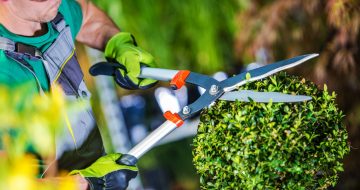 Entretien, création, aménagement d’espaces verts