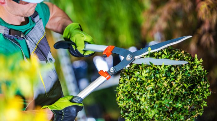 Entretien, création, aménagement d’espaces verts